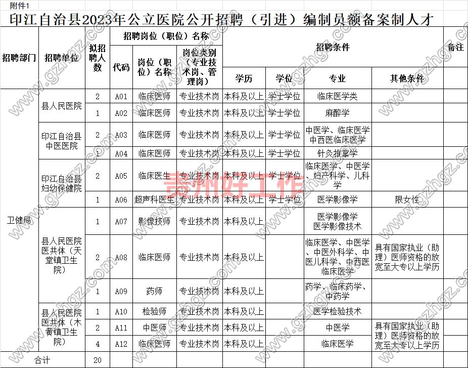 印江自治县2023年公立医院公开招聘(引进)编制员额备案制人才招聘公告